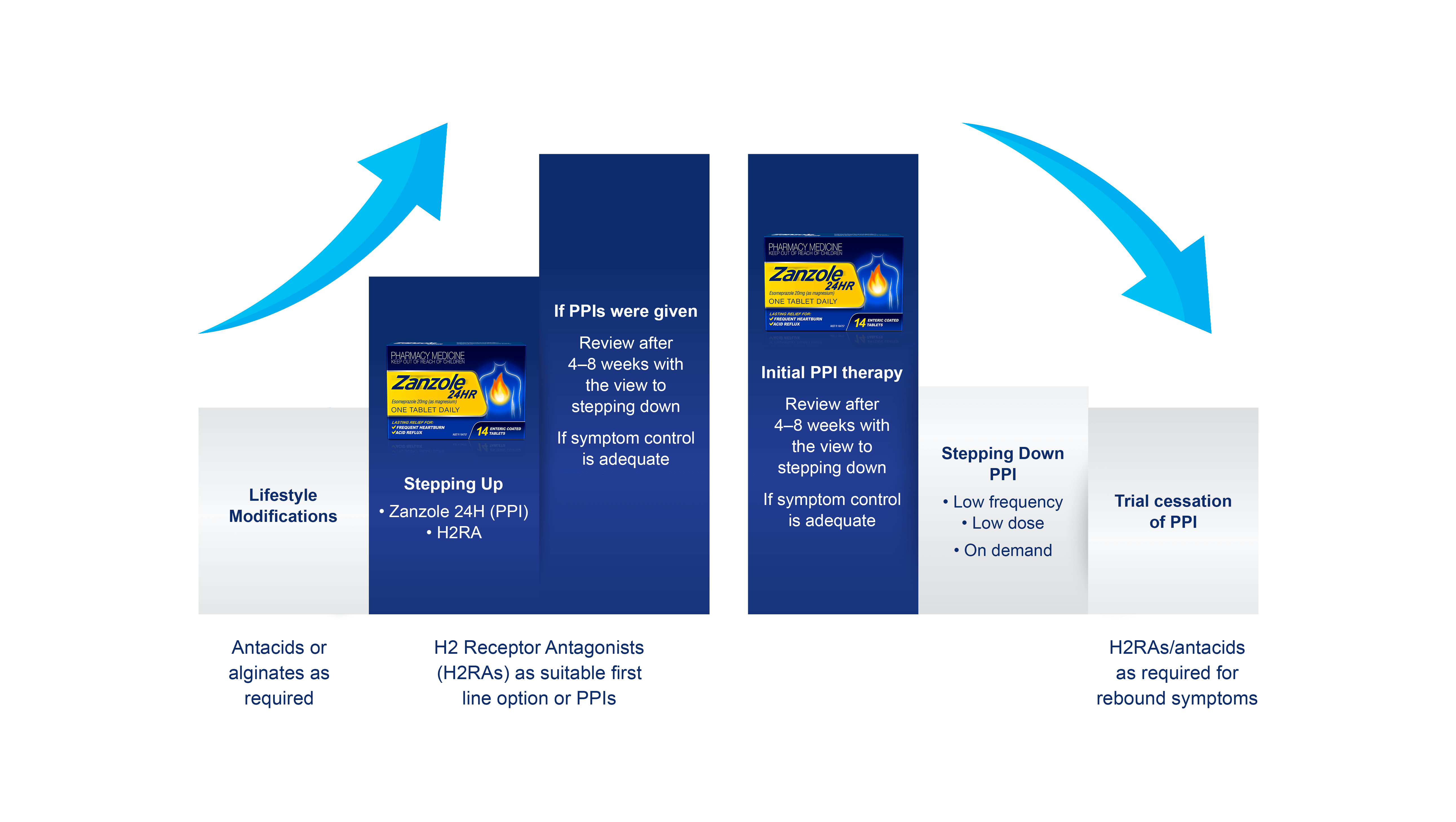 Zanzole Website Graph